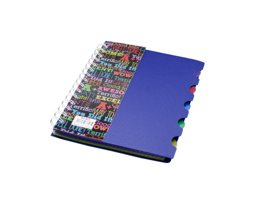 Carnet А5 plastic cu spirala 100foi, cu 5 separatoare A5-821 (140)