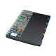 Carnet B5 plastic cu spirala 100foi, cu 5 separatoare B5-821 (100)