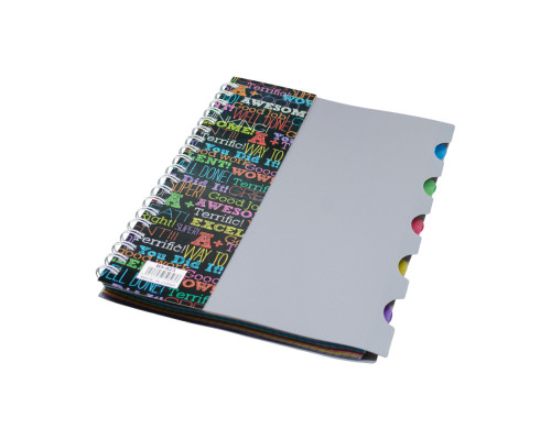 Carnet B5 plastic cu spirala 100foi, cu 5 separatoare B5-821 (100)