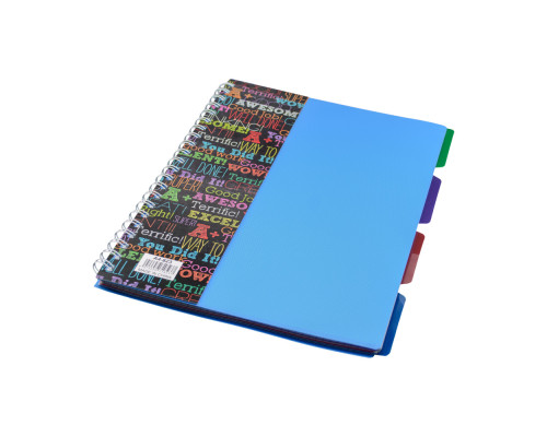 Carnet А4 plastic cu spirala 100foi, cu 4 separatoare A4-821 (72)