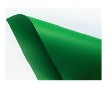78819 Ватман цветной,зеленый, MALMERO Amazone,50*70cm, 300g/m2, 060815actia