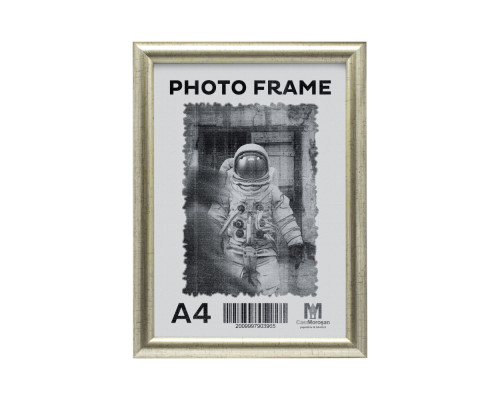 Фоторамка A4 ст. серебро, 20мм F2002-1 CM*6102 Фоторамка A4 ст. серебро, 20мм F2002-1 CM*6102