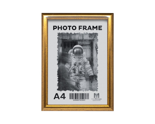 Фоторамка A4 ст. золото, 20мм F2002-2 CM*6119