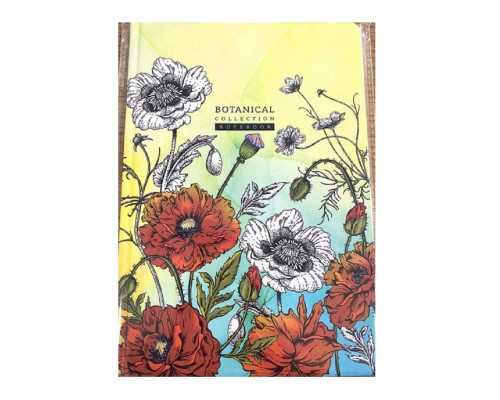 Carnet А5 64foi, matematica, carton tare, N9413 (60) Carnet А5 64foi, matematica, carton tare, N9413 (60)