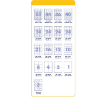 Etichete autoadezive A4 66x33.8mm 2400buc FO41509(20)