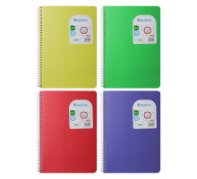 Carnet A5 96foi, matem., spira, plastic, Gingko (6/120)