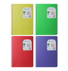 Carnet A5 96foi, matem., spira, plastic, Gingko (6/120)