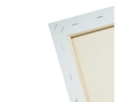 Panza alba pe sasiu 40x40 сm CM*7505