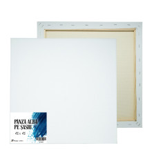 Panza alba pe sasiu 40x40 сm CM*7505