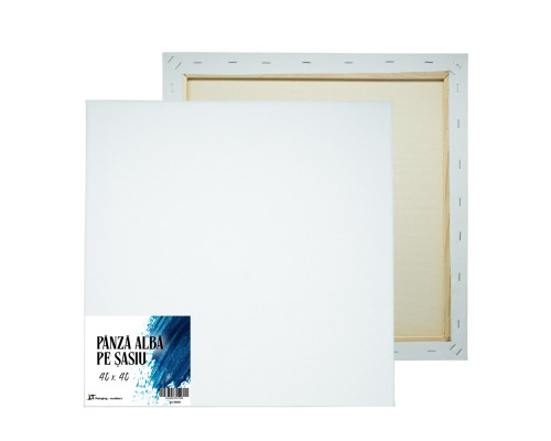 Panza alba pe sasiu 40x40 сm CM*7505