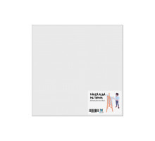 Panza alba pe sasiu 40x40 сm CM*7505