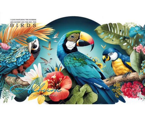 Album pentru desen, A4, 30 foi, pe capse, 100g, perforare, diz.23049