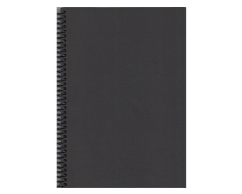 Блокнот черные листы B5 40л. 160г/м, на спирали, Gingko (6/120) Блокнот черные листы B5 40л. 160г/м, на спирали, Gingko (6/120)
