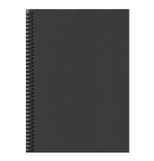 Carnet cu foi negre, B5, 40foi 160g/m., pe spira, Gingko (6/120)
