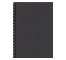 Carnet cu foi negre, B5, 40foi 160g/m., pe spira, Gingko (6/120)