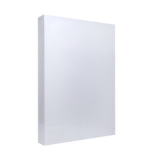 Hirtie A-4, ofset, 300г/м2, 262523U90CA4P100, 100file.