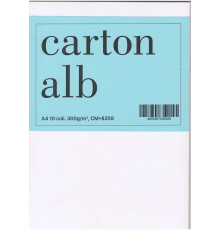 Картон белый двусторонний A4 10лист. 300г/м2, CM*8359