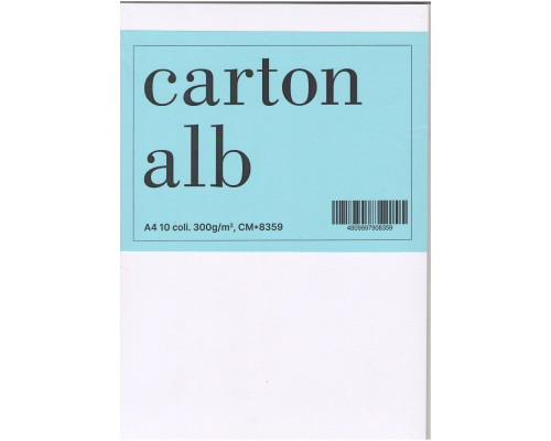 Картон белый двусторонний A4 10лист. 300г/м2, CM*8359