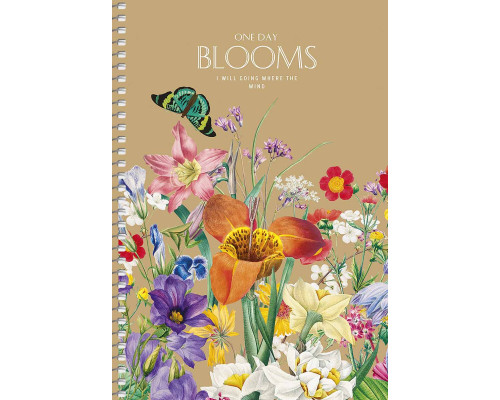 Carnet A5 96file matem., spira, CRAFT, Student A5-SC-096-6123K (3/54) Carnet A5 96file matem., spira, CRAFT, Student A5-SC-096-6123K (3/54)
