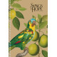 Carnet A5 96file matem., spira, CRAFT, Student A5-SC-096-6123K (3/54)