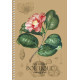 Carnet A5 96file matem., spira, CRAFT, Student A5-SC-096-6123K (3/54)