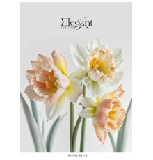 Тетрадь А4 80л. клетка, на скобах, Student A4-080-5236K (6/42)