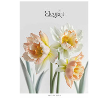 Тетрадь А4 80л. клетка, на скобах, Student A4-080-5236K (6/42)