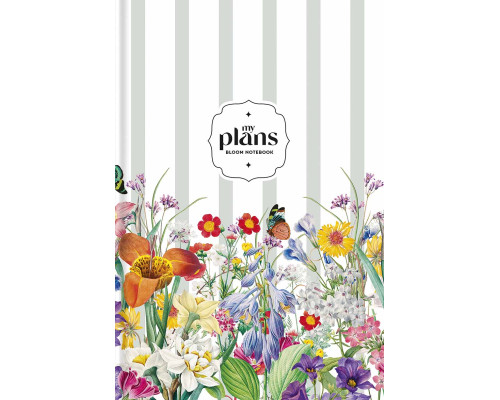 Carnet A5 80file matem., laminare mata, MonAmi A5-IC-080-7063K (12)