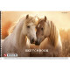 Album pentru desen pe spira A4 30 foi Школярик, PB-SC-030-8008 (9/63)