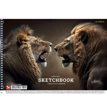 Album pentru desen pe spira A4 30 foi Школярик, PB-SC-030-8008 (9/63)