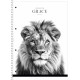Caiet A4 80file, matematica, pe spira cu microperforare, Student, A4-080-6713K (4/36)