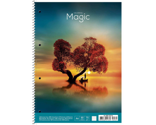 Caiet A4 80file, matematica, pe spira cu microperforare, Student, A4-080-6521K (6/42) Caiet A4 80file, matematica, pe spira cu microperforare, Student, A4-080-6521K (6/42)