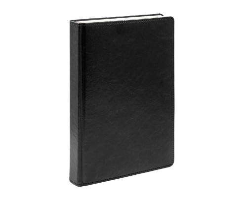 Ежедневник A5 датированный 2025, Clasica, черный, *4393 (60)