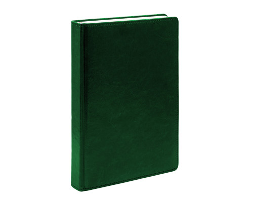 Agenda A5 datata 2025, Clasica, verde, *4416 (60)