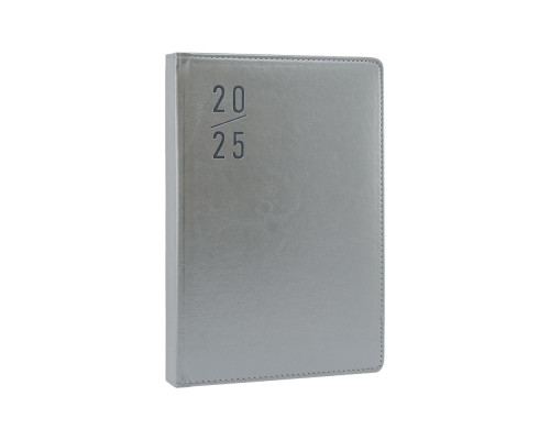 Ежедневник A5 датированный 2025, Clasica, серый, *4447 (60)