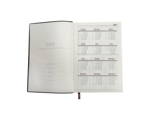 Agenda A5 datata 2025, Clasica, verde deschis, *4461 (60)