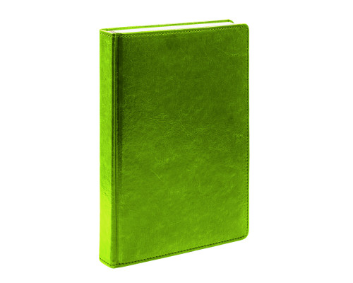 Agenda A5 datata 2025, Clasica, verde deschis, *4461 (60)