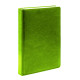 Agenda A5 datata 2025, Clasica, verde deschis, *4461 (60)