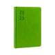 Ежедневник A5 датированный 2025, Clasica, салатовый, *4461 (60)