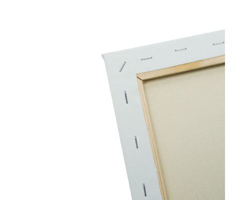 Panza alba pe sasiu 40x50сm CM*5143