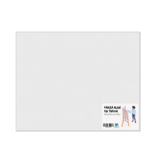 Panza alba pe sasiu 40x50сm CM*5143