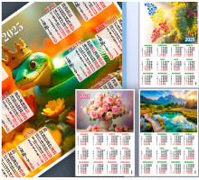 Calendar de perete 2025 A2+, 50x70сm P*2579