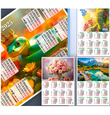 Calendar de perete 2025 A2+, 50x70сm P*2579