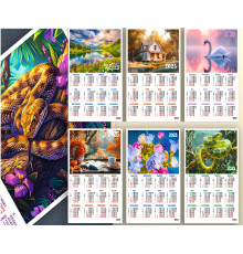 Calendar de perete 2025 35*50 P*3040