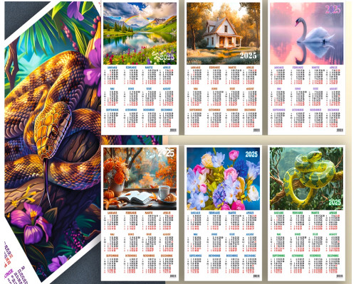 Calendar de perete 2025 35*50 P*3040