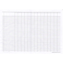 Foi liniate A3 , ofset, ambalaj 100buc.