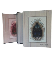 Фотоальбом в коробке 21*27cм, 200фото 10*15см 2 дизS4-3 (36)