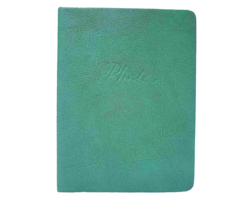 Album Foto 12*16.5cm, 100 poze 10*15сm, piele eco., 4 designe (48)