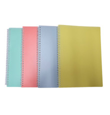 Cainet А4 96foi, matematica, plastic cu spirala (100)