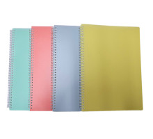 Cainet А4 96foi, matematica, plastic cu spirala (100)